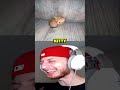 AWW kitty AAAAAAAAAAAAAAAAAAAAAAAAAAAAAAAAAAAAAAAAAAAAAAAA #cat #memes #funny 
