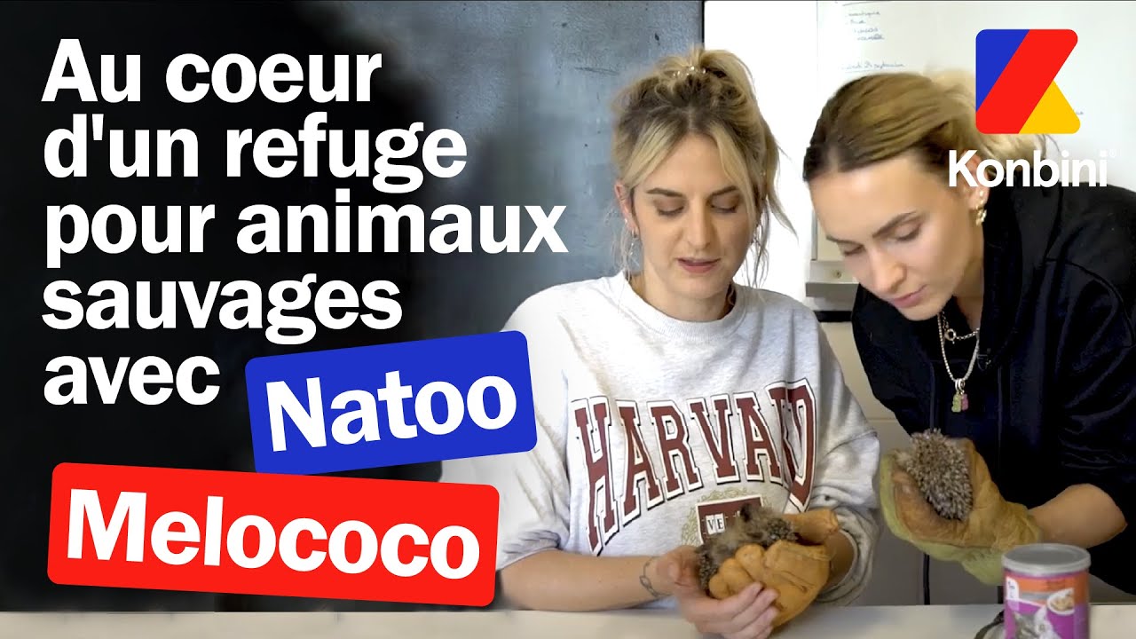 Natoo et Melococo viennent en aide à des animaux sauvages dans un centre d'accueil | Konbini