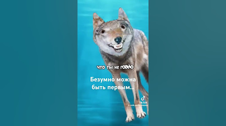 Безумно можно быть первым... #edit#волки