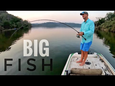 Unusual Catches on the Afrijigs and Monster Mozambique Tilapia Fishing! (Bream/Kurper)