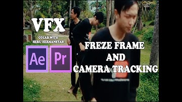 AFTER EFFECT – ONE DIRECTION - YOU AND I - FREEZE FRAME AND CAMERA TRACKER
