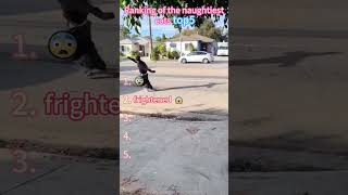 Skateboarding mishap highlights.#skateboard#famous scene#Mistake