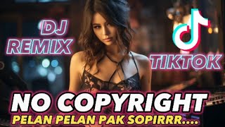 Backsound DJ Remix TikTok Keren - Pelan Pelan Pak Sopir, Bikin Joget Terus!