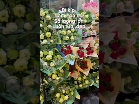 Video Cách Chọn Bó Hoa Đại Biểu, Bó Hoa Hội Nghị, Bó Hoa Sự... - youtube