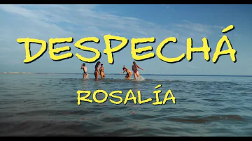 DESPECHÁ (Lyrics) | ROSALÍA