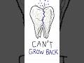 🦷 Your Body Can’t Regrow This! | The Truth About Tooth Enamel