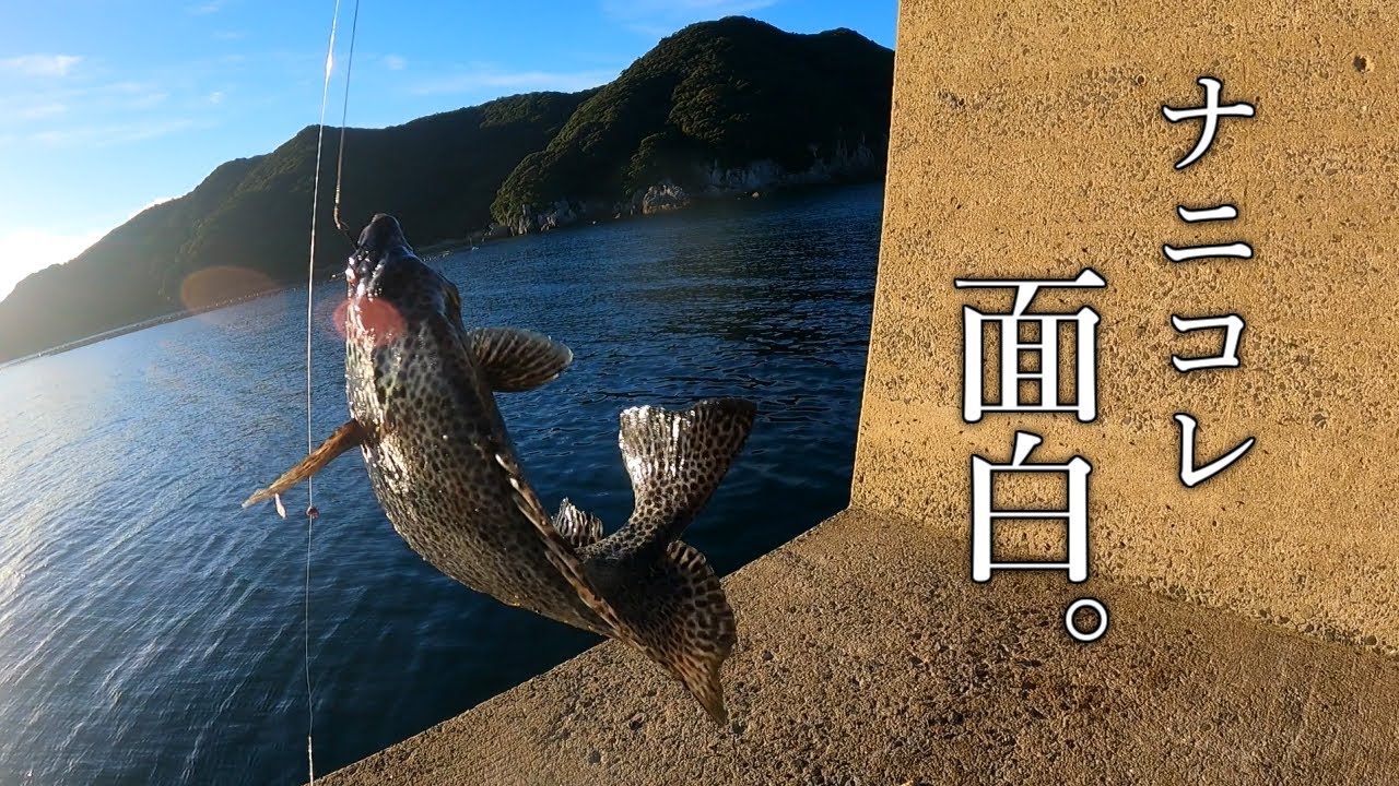 I tried using light tackle to catch some rockfish hiding at the