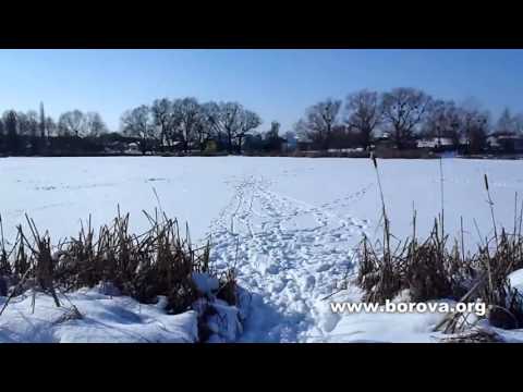Video: Kako Slikati Zimu