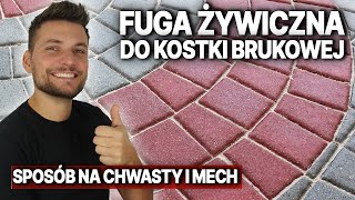 Fuga żywiczna do kostki brukowej | Jak usunąć mech i chwasty? DOMINIKMALUJE | ZAFUGUJ.PL