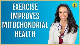 ☀️ What You Must Know About The Mitochondrial and Muscle Health Connection (2024)