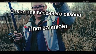 открытие весеннего сезона. Плотва клюёт.