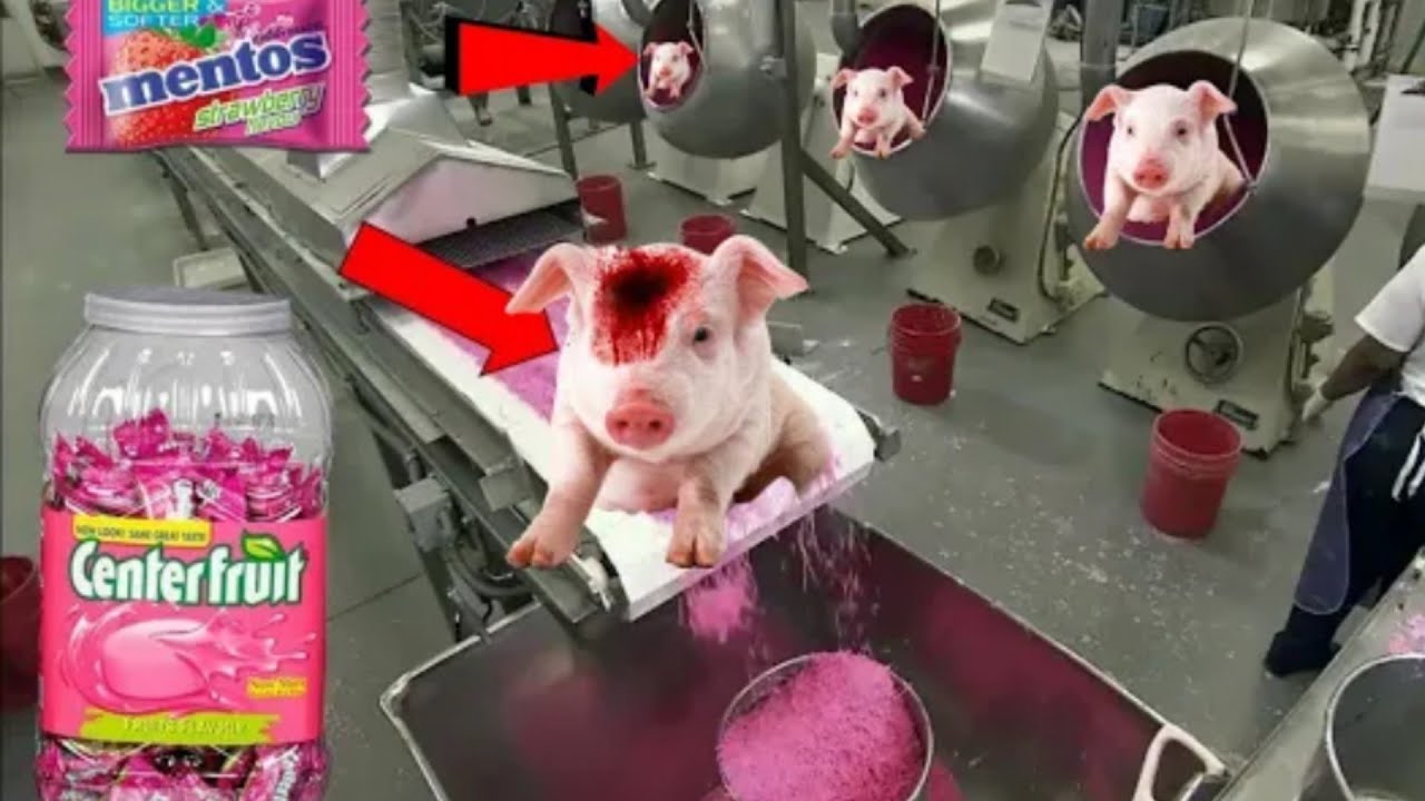 इस तरह बनाया जाता है center fruit 😮//How to make center fruit 