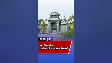 Hướng dẫn quy hoạch cây trồng trong khu lăng mộ đá #langmoda #langmodaanhquan #phongthuy