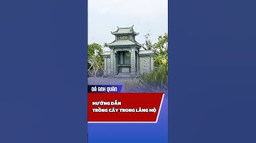 Hướng dẫn quy hoạch cây trồng trong khu lăng mộ đá #langmoda #langmodaanhquan #phongthuy