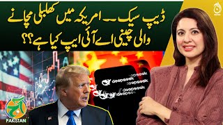 What is China&rsquo;s DeepSeek AI, and how did it crash the markets? - Aaj Pakistan
