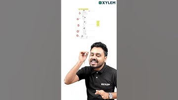 പെട്ടന്ന് 5 MARK-ന്റെ ഒരു QUESTION പഠിച്ചാലോ? | Xylem Class 5