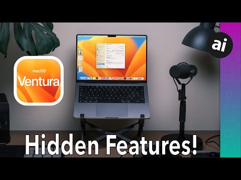Top Features in