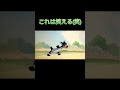 石を投げるのにガチすぎた人(笑)