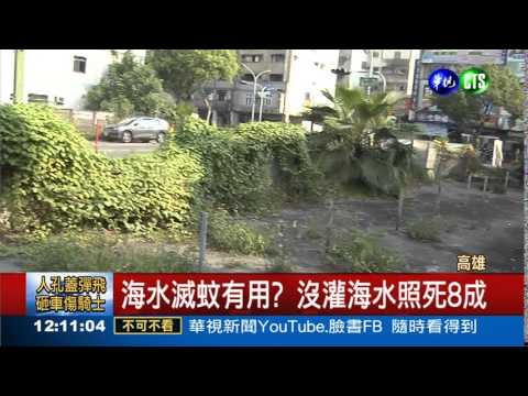 沒海水孑孓照死 遭批作秀