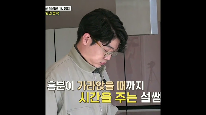 진돗개 훈련_강형욱 vs 설채현