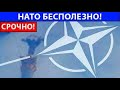 ПОЗОР! В США обвинили европейских членов НАТО в бездействии!