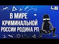 АДМИН ПАТРУЛЬ #769 РОДИНА РП