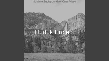 Vivacious Backdrops for Calm Vibes