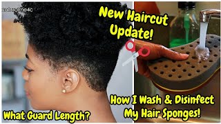Spring 4C Haircut Update &amp; How I Wash &amp; Disinfect My Hair Sponges! - Full Demo - NaturalMe4C