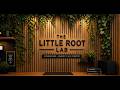 The Little Root Lab First Episode l