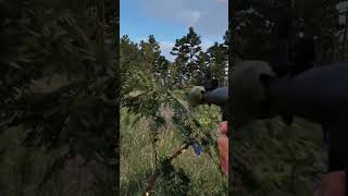 сыграли в прятки #armareforger #arma3 #arma4