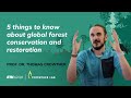 5 things to know about global forest conservation  restoration