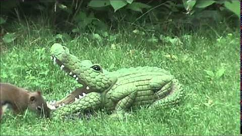 Audio Visual Catnip- August 2014 mix