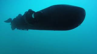 Alseamar - Tracteur Sous-Marin Murene