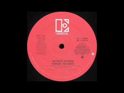 Forget Me Nots (12" Version) - Patrice Rushen