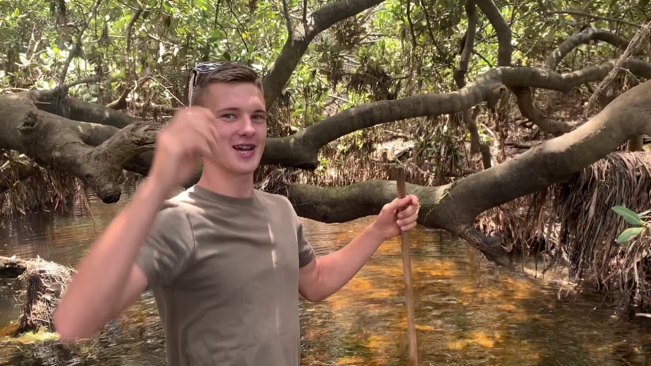 The beach disappeared?. - YouTube