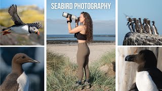 Seabird & Seal Photography The Farne Islands