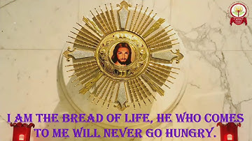 SECOND SUNDAY OF ADVENT - YEAR - C - 05-12-2021 SUNDAY - 8.00 AM