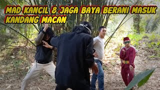 Mad Kancil Jaga Baya . Masuk Kandang Macan