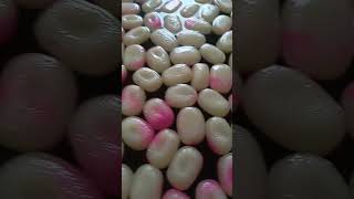 Sweet Rasgullay Recipe