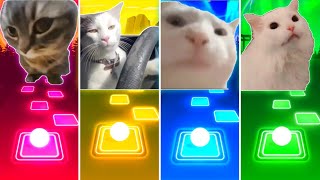 Chipi Chipi Chapa Chapa Cat vs Driving Cat vs Vibing Cat vs Cat Coffin Dance - Tiles Hop EDM Rush