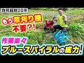 【自然栽培370】草刈り機を超えた？！ブルースパイラルの威力！