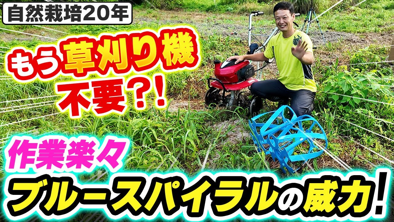 【自然栽培370】草刈り機を超えた？！ブルースパイラルの威力！