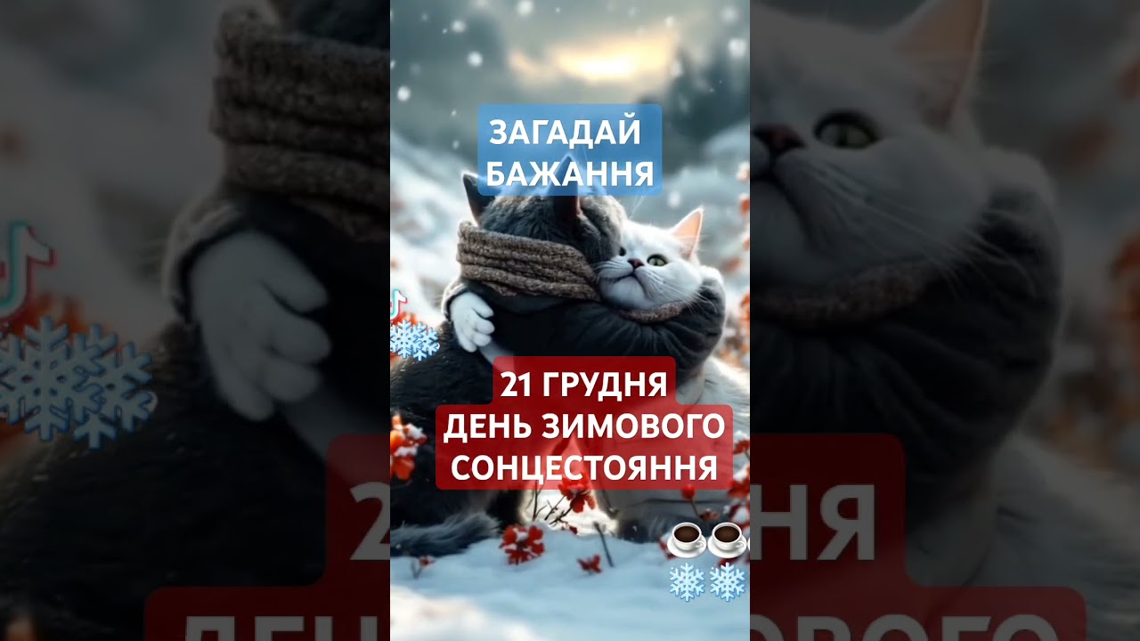 #загадайжелание