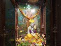 #wgitachi jai jai swami samarth🌺🌸🔱#bhosari #shreeswamisamarth #swami #shorts#youtubeshort