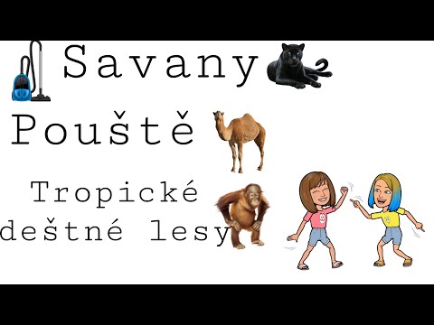 Video: Savannah a lesy: rysy přírodní oblasti