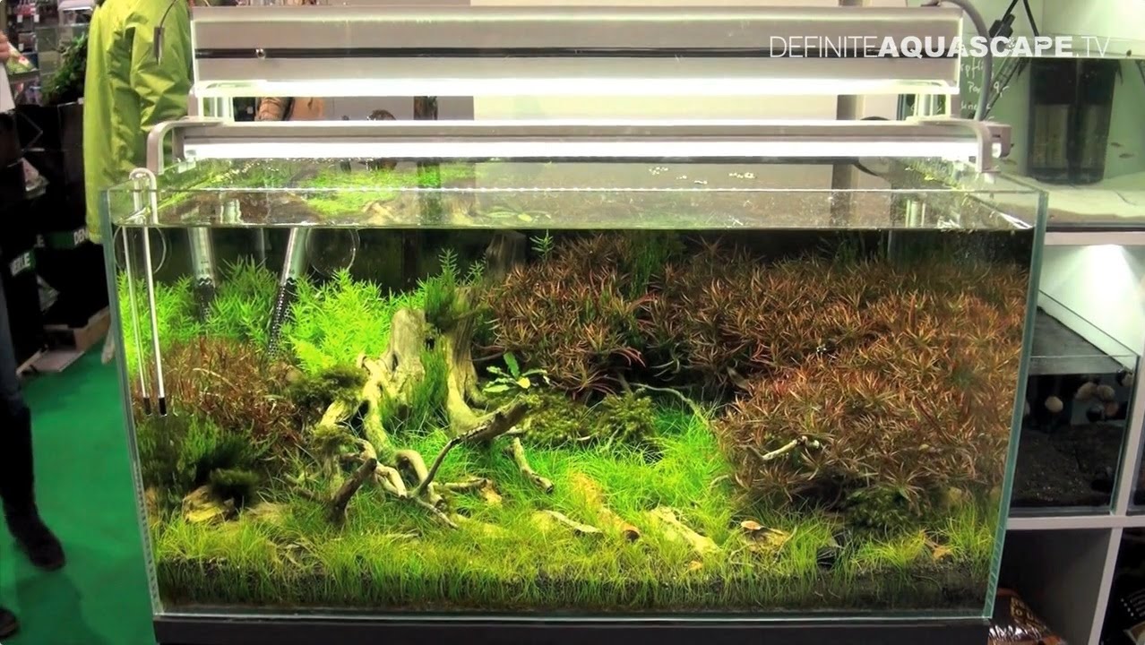 Planted aquariums of Heimtiermesse 2015, Hannover - part 5