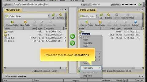 WS_FTP Managing files and directories By Host4Go Tutorials