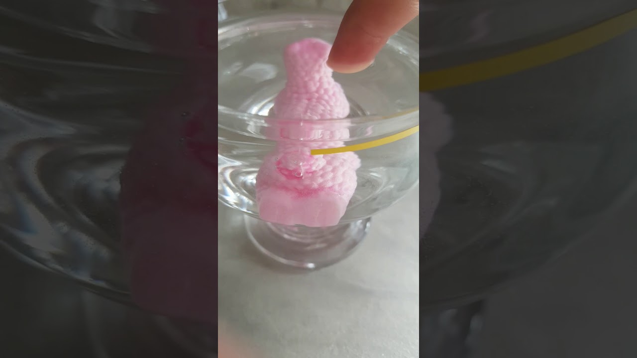 LLAMA EGGS Magic growing pet YouTube