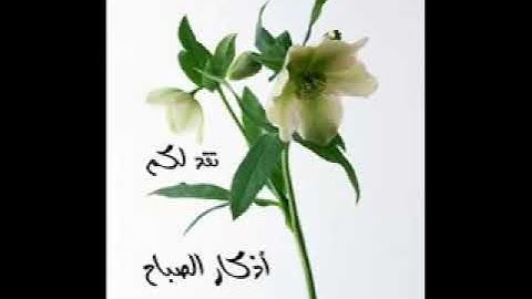 اذكار الصباح بصوت القارئ سلمان العتيبي