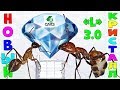 Сборка и обзор муравьиной фермы Кристалл L 3.0 от 4ants.ru